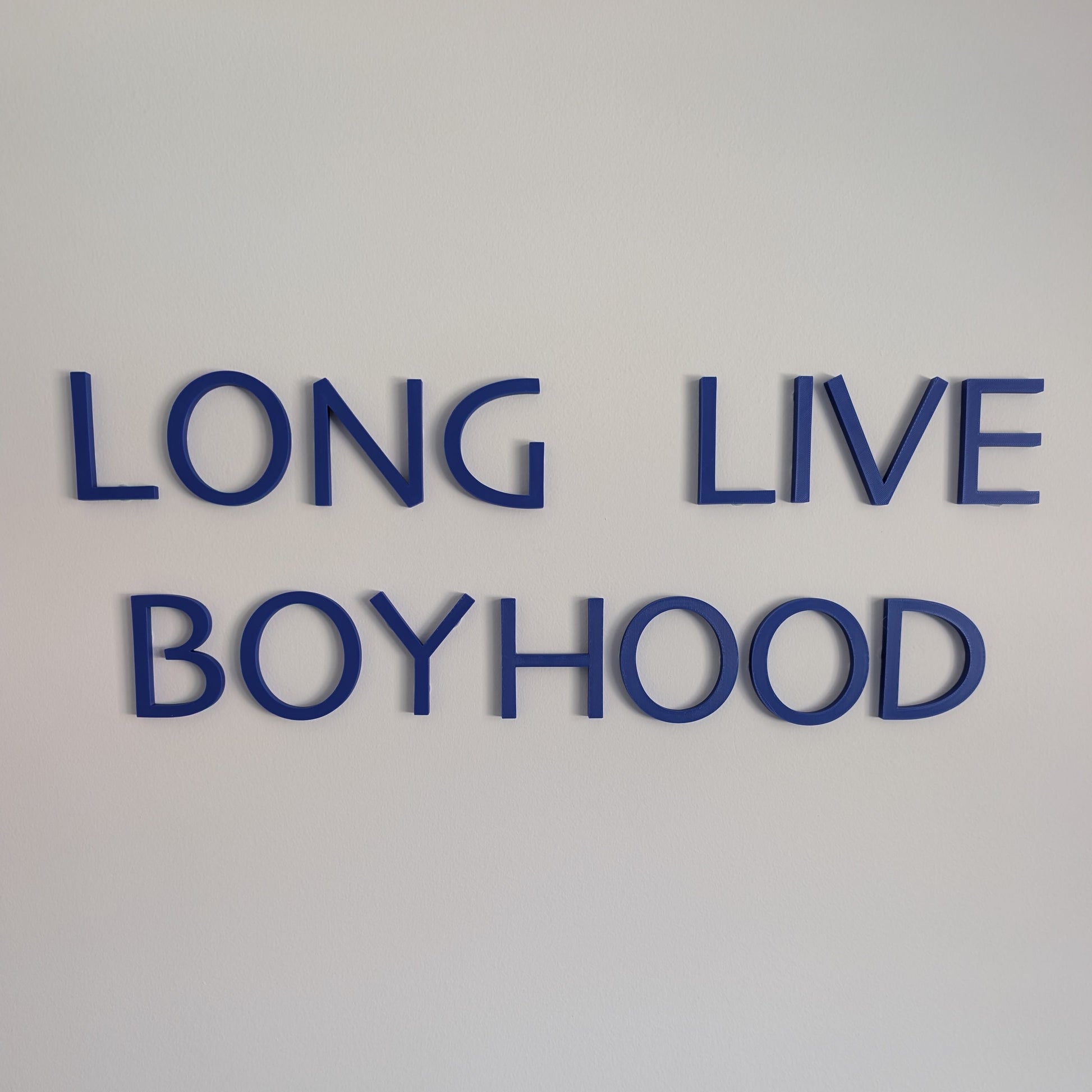 Text 'LONG LIVE BOYHOOD' on a plain background